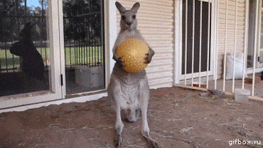 4CmBWCd.gif