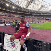 Premier League Football GIF by West Ham United