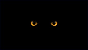 yellow-eyes-blinking-dark-35914582.jpg