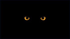 yellow-eyes-blinking-dark-35914582.jpg