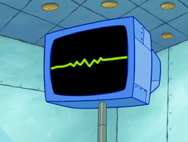 season 6 pet or pets GIF by SpongeBob SquarePants