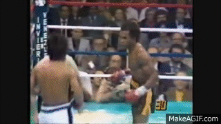 xRm8Q2.gif