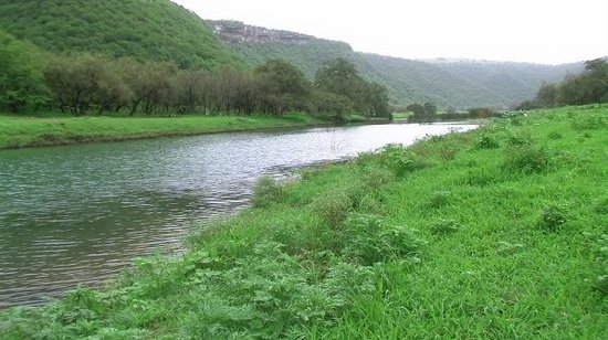 salalah.jpg