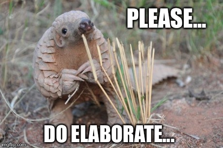 please do elaborate Memes & GIFs - Imgflip