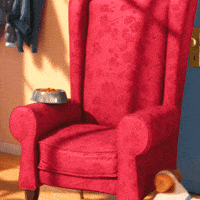 200w.gif