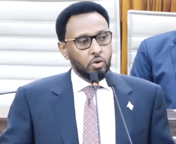 thesomalidigest.com
