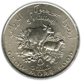 g87.jpg