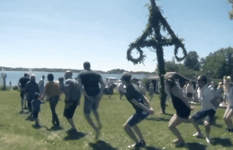 giphy.gif