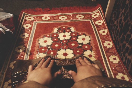 tumblr_oydzg5mOr81qapk2qo1_540.jpg
