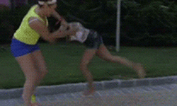 giphy.gif