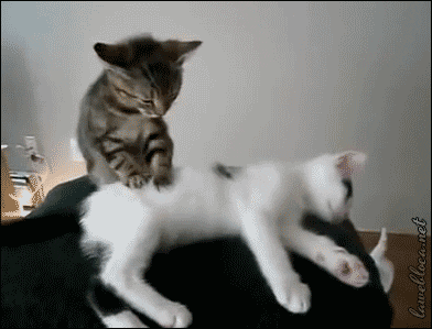 Massage GIF - Find & Share on GIPHY