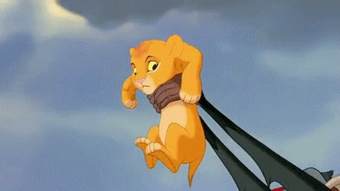 source.gif