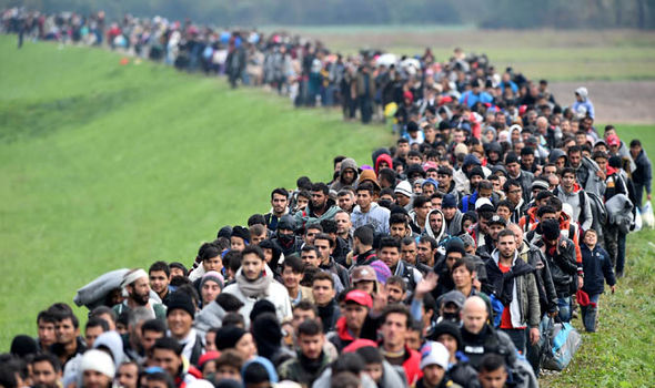migrants-443697.jpg