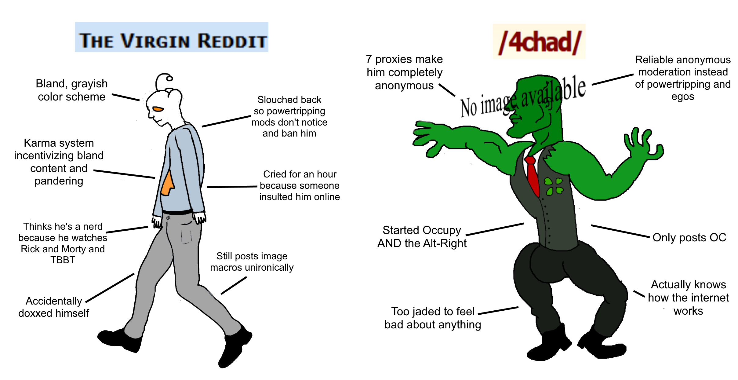 The Virgin Reddit vs 4chad : virginvschad