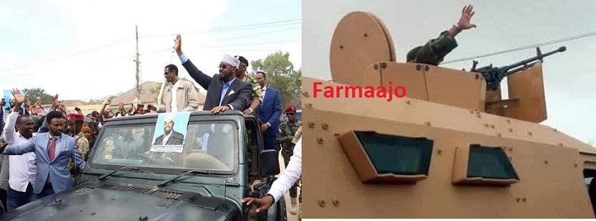 farmaajomadoobe.jpg