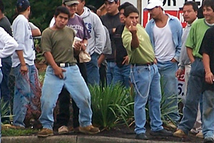 daylaborers.jpg