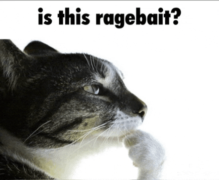 Cat Rage Bait Meme - Cat Rage bait Funny cat - Discover & Share GIFs