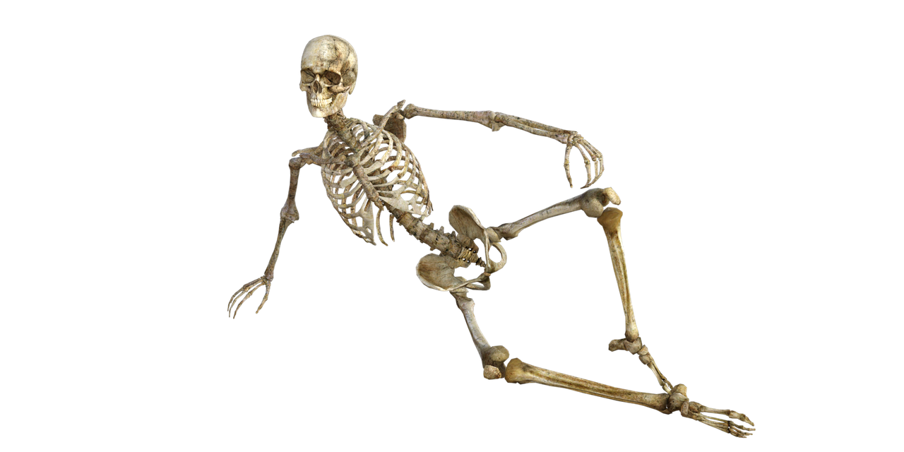 skeleton-1561177_1280.png