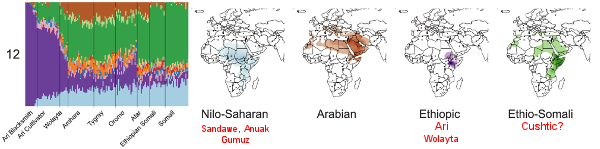 Horn-ADMIXTURE-K12-detail.png