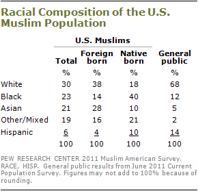2010-muslim-americans-s1-04.png