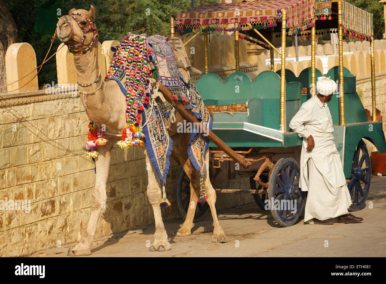 indian-man-offering-camel-drawn-cart-rides-gadi-sagar-gadisar-lake-ETH081.jpg