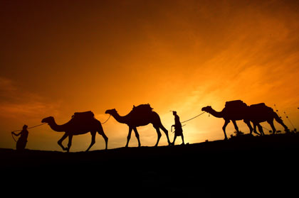 camel-rides-71.jpg