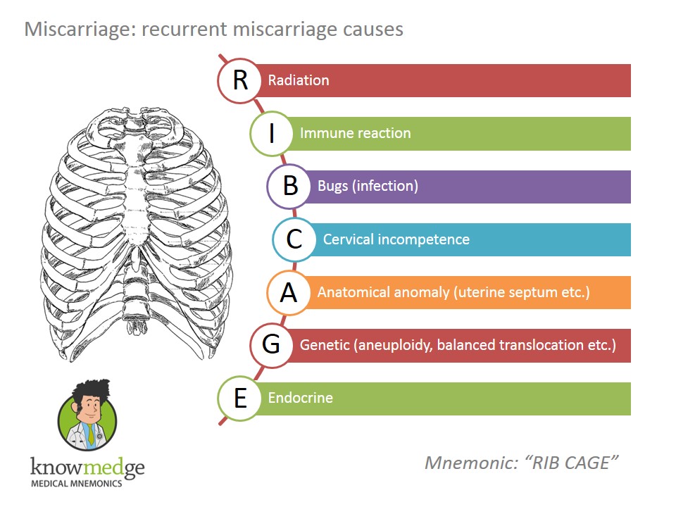 Medical-Mnemonics-Miscarriage-ribcage.jpg