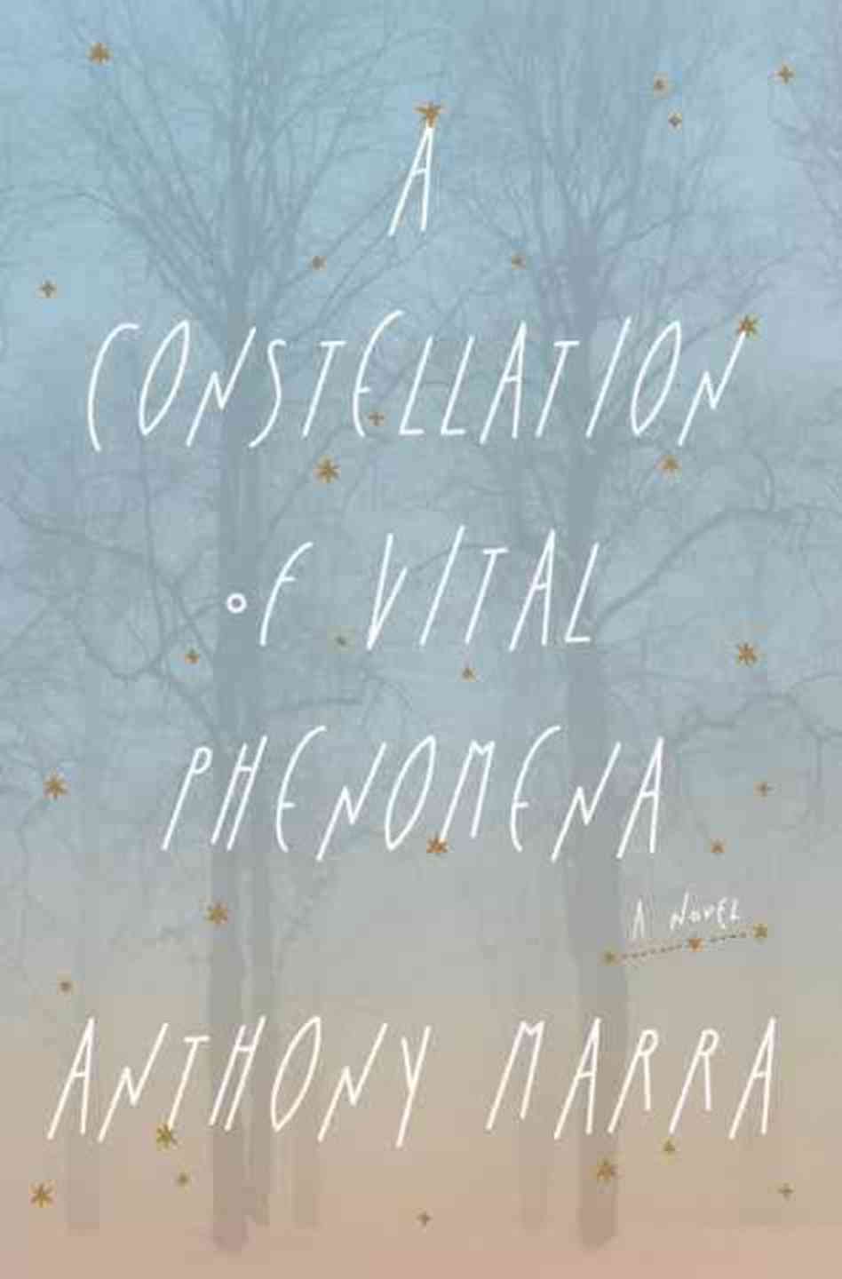 A_Constellation_Of_Vital_Phenomena1.jpg