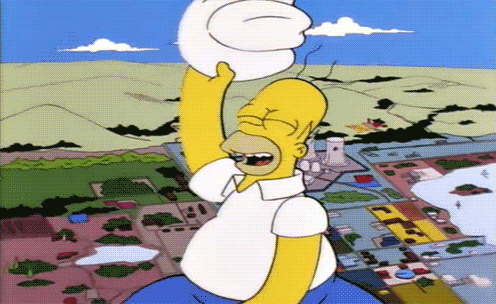 Homer-Simpson-Riding-A-Rocket-In-Classic-Simpsons-Scene.gif