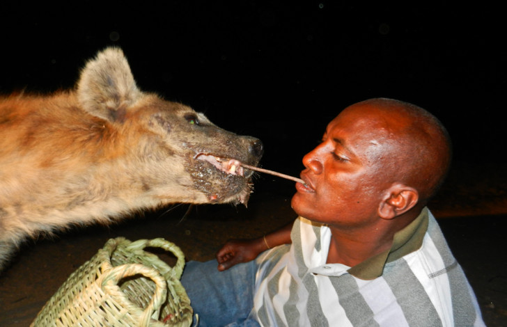 Feeding-Hyenas-in-Ethiopia-728x470.jpg