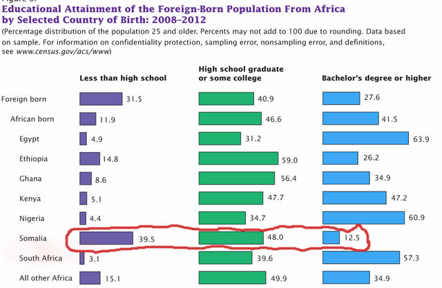 census-on-foreign-born-africans-level-of-education-in-us-tadias-magazine-cover-jpg.3537