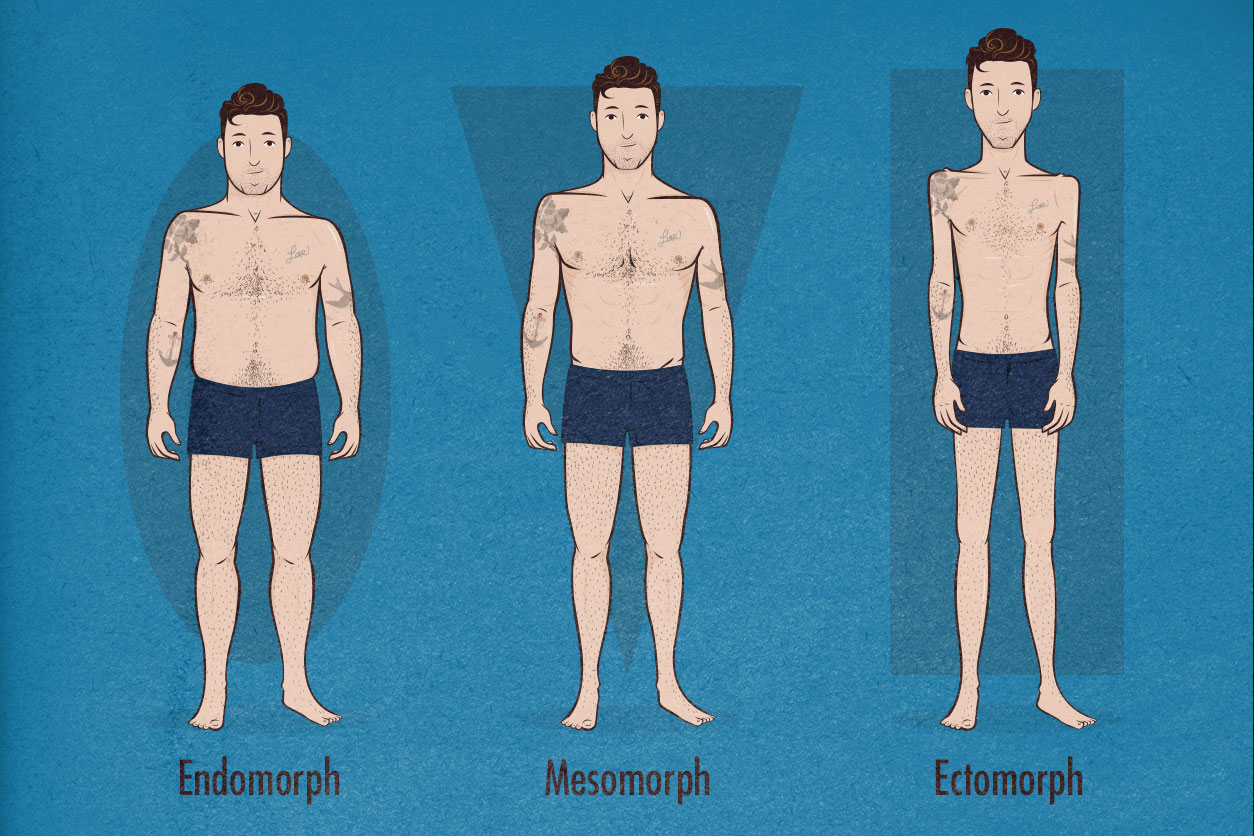 what-body-type-ectomorph-mesomorph-endomorph-somatotype-illustration.jpg
