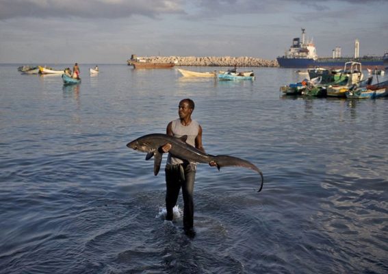 Somalia's President Mohammed Farmajo Gives up the Country's Fishing Rights to China