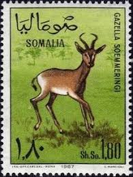Postsegel: Soemmerring's Gazelle (Gazella soemmerringii) (Somaalje)  (Antelopes) Mi:SO 102,Sn:SO 305,Yt:SO 65,Sg:SO 454