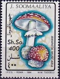Stamp: Amanita muscaria (Somalia) (Mushrooms) Mi:SO 504 | Stamp, Somalia,  Philately