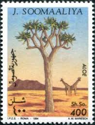 Stamp: Tree Aloe and Giraffes (Somalia) (Flora) Mi:SO 534. Buy, sell, trade  and exchange collectibles easily with Colnect … | Vintage postage stamps,  Somalia, Stamp