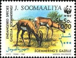 Stamp: Soemmering's Gazelle (Nanger soemmeringii) (Somalia) (Wild Animals)  Mi:SO 439,Sn:SO 610,Yt:SO 385
