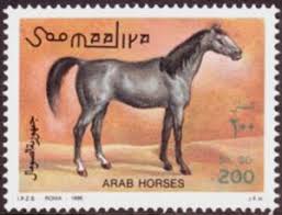Stamp: Black Arab horse (Somalia) (Arab horses) Mi:SO 588,Yt:SO 508