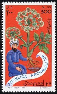 30 Somalia (after independence)-Postage stamps ideas | postage stamps,  somalia, postage