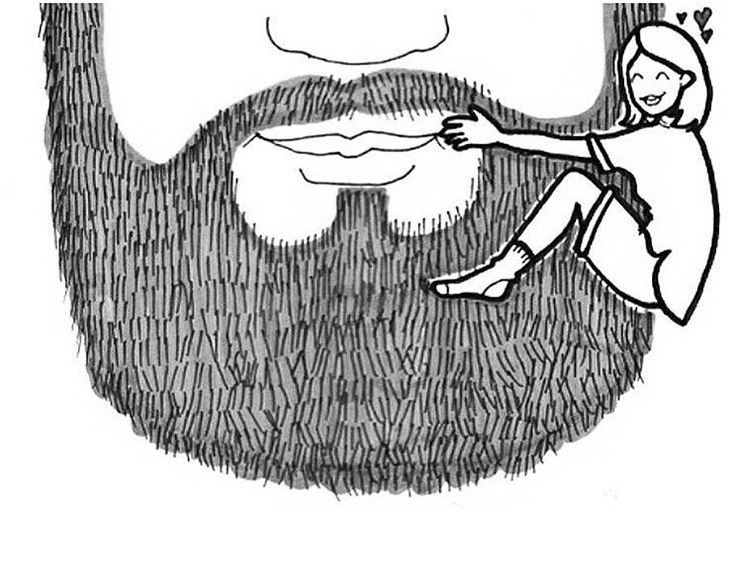 52d87b376d34290b895dffe3645d9efc--beards-funny-the-beards.jpg