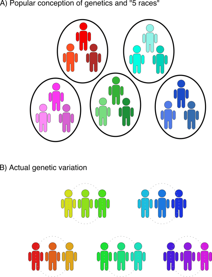 Fig1-raceConception-2.png