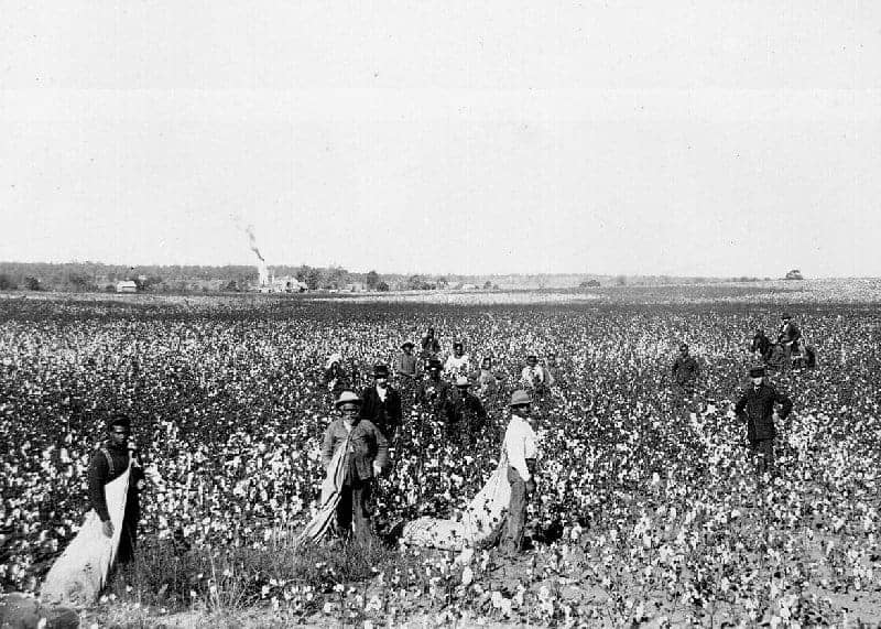 US-Blacks-picking-cotton-1897.jpg