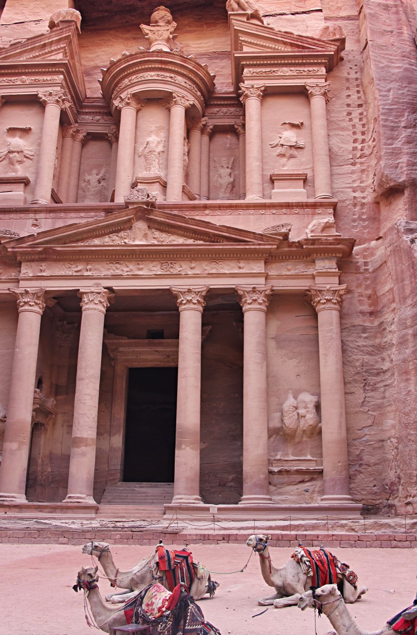 Camels-infront-of-Treasury-Petra-Jordan.jpg