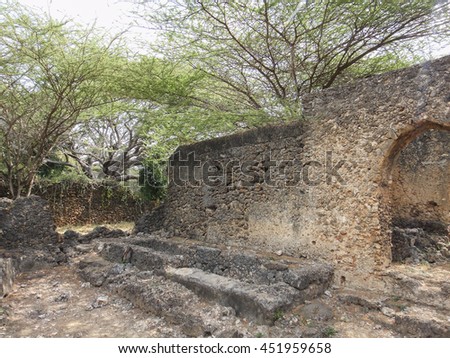 stock-photo-takwa-medieval-city-ruins-in-kenya-near-lamu-town-indian-ocean-coast-kilometers-from-the-451959658.jpg