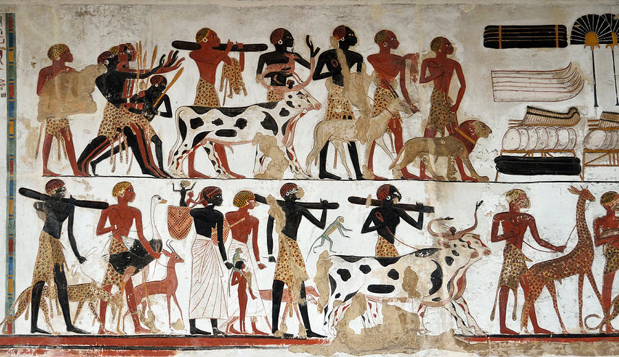 egyptian-wall-painting-of-temple-of-beit-el-wali-ricardmn-photography.jpg