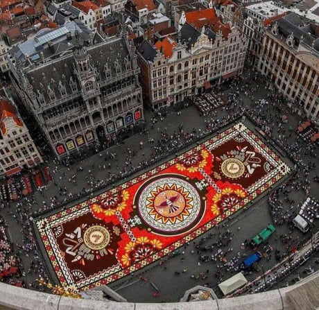 500 000 Dahlia and Begonia flowers on display at the Grand Place, Brussels