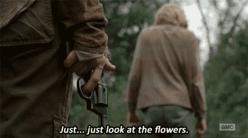 look-at-the-flowers-twd.gif