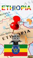 Ethiopian Food Ethiopia GIF by Zhot Ethiopian Food Ethiopia GIF by Zhot