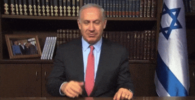 Israel Bibi GIF Israel Bibi GIF