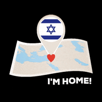 Welcome Home Israel GIF by Nefesh B'Nefesh